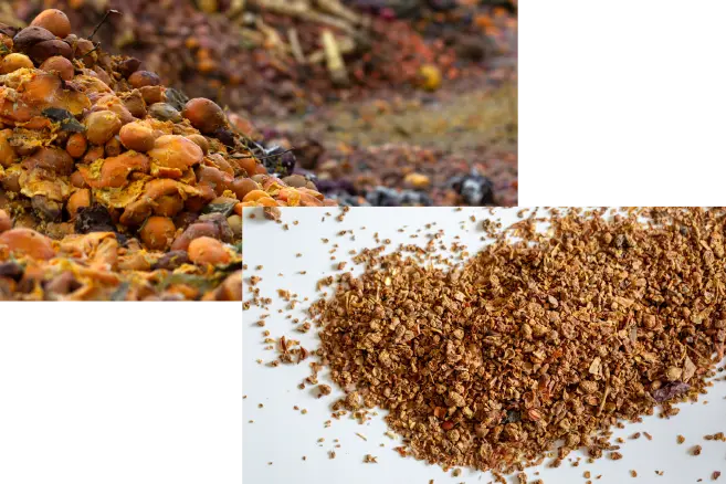 Organic Material on the ground / Organic Material in the hands