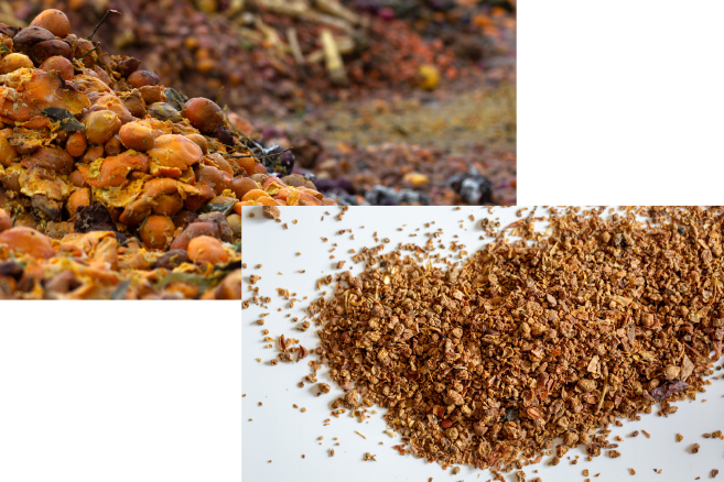 Organic Material on the ground / Organic Material in the hands